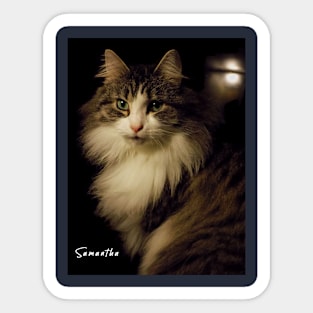 Ms. Samantha Fluffypants Sticker